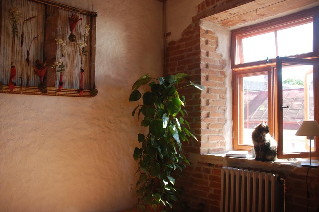 Beguta Guest House هابسالو المظهر الخارجي الصورة