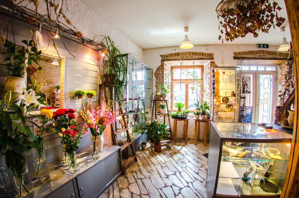 Beguta Guest House هابسالو المظهر الخارجي الصورة