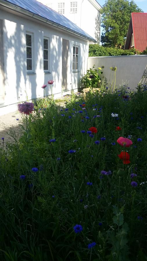 Beguta Guest House هابسالو المظهر الخارجي الصورة